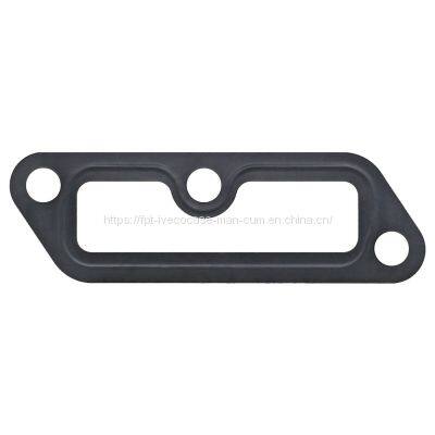 MAN D0836 Gasket 06904-0044