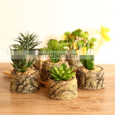 Hot Sale Korean Cactus Potted Suculentas Planta Mini Vaso Suculenta Plantas Artificiales Para Apared Succulent Plants With Pot