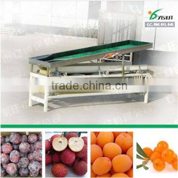 Plum Fruit Size Sorting Machine