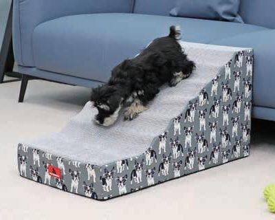 Pet Ramps With Cartoon Cover photo-2
