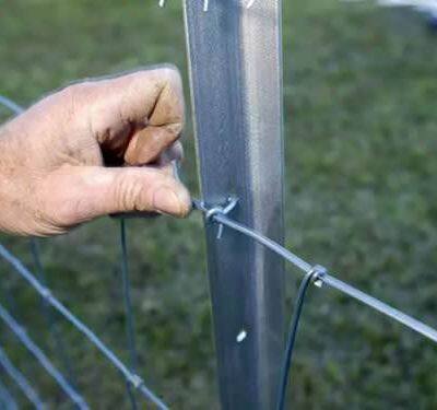 7 ft Height Heavy Duty Studded Y Post With Spade Studs Galvanized Steel Y Fence Post photo-6