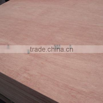 18mm bintangor plywood sheet to Dubai