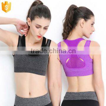 2016 New Arrival Seamless Sport Bra, Wholesale High Quality Seamless Sport Bra Lingerie photo-1