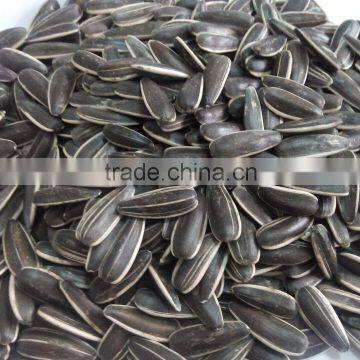 sunflower seeds for human consumption different type of seeds organic sunflower seeds