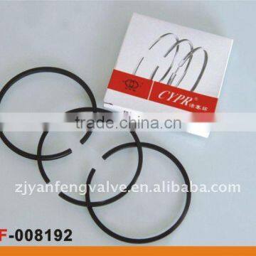 cylinders and piston rings