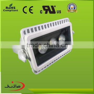Professional Manufacturer of mini led flood light