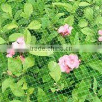 Plastic BOP Netting as Fruit Cage/Anti Bird Net/Plant Protection Net
