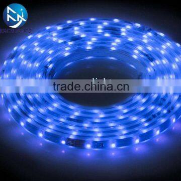 Blue LED Strip light with SMD 5050/3528/3014/2835/5630