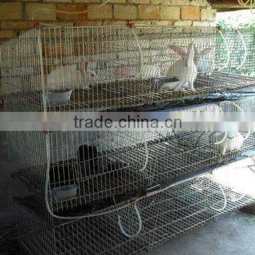 Chicken poultry farming cage