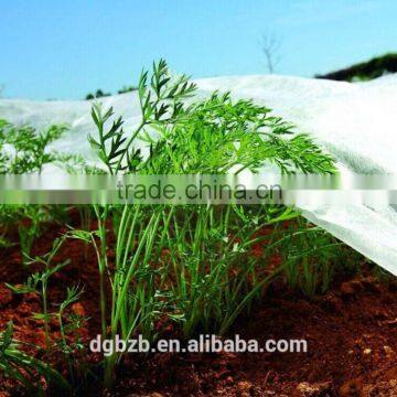 UV resistant spun-bonded pp non woven fabric PP Nonwoven for Agriculture