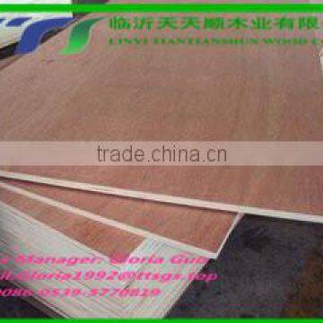 Cheap Veneer Faced Mdf Door Skin From China