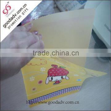 A4 black one side factory customized printing pp folder a4