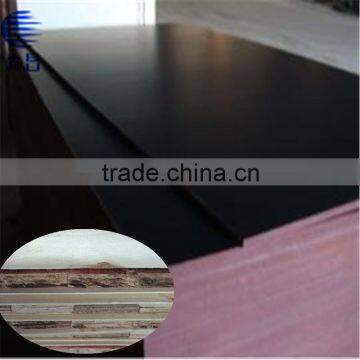 13mm Factory Supply Good Quality Brown Film Finger Jointed Laminated Boards from linyi