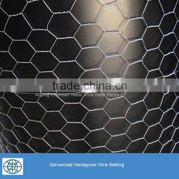 Pvc Coated Blue Color Green Color Hexagonal Wire Mesh photo-6