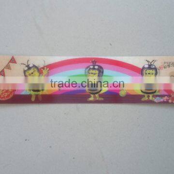 Plastic Custom Printed Ruler photo-2