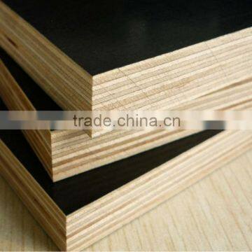 Cheap Brown/black shuttering plywood WBP glue