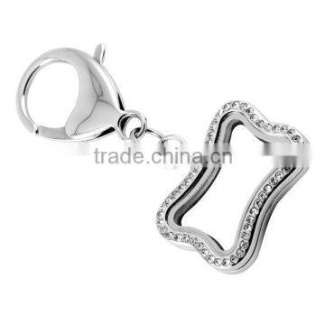 SRA0006 Fashionable Glass Locket Clasps For Pet 316L Stainless Steel Jewelry Clasps