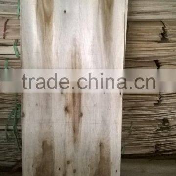 Eucalyptus, Acacia Core Veneer - Grade 90%A 10%B Best Cheap From Viet Nam photo-4
