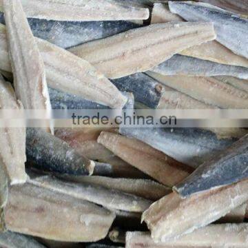 frozen spanish mackerel fish fillet