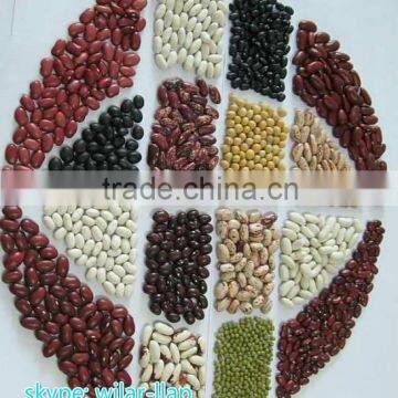 2014 crop Red/White/Black/Light Speckled Kidney Beans.