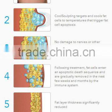 Vertical Newest Cryo Slimming Fat Freeze Machines Cryolipolysis Laser Weight Loss photo-6