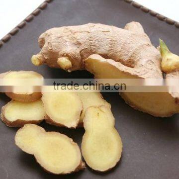 Wholesale Organic Common Cultivation Type Fresh Ginger photo-3