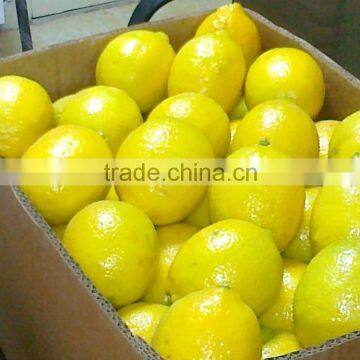 Fresh Lemon