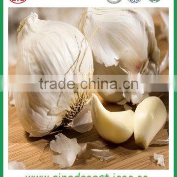 Fresh White Garlic From Chinese Garlic Hometown Jinxiang photo-4