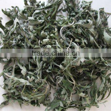 Dried medicinal herbs/herbal medicine-Leonurus sibiricus leaf or leaf cut