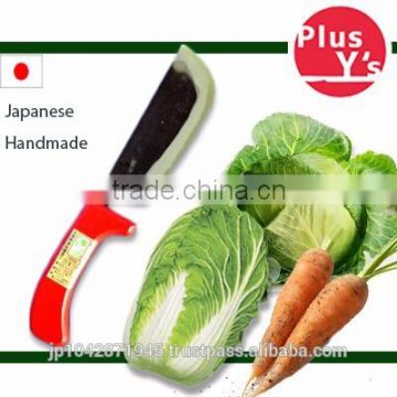 Strong and Safe Japanese Knife for harvesting Nappa cabbage