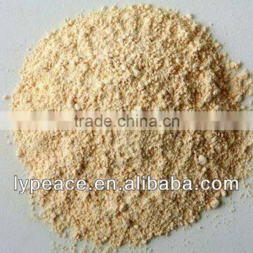 india garlic powder with size80-100mesh