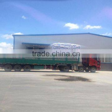 New Black Watermelon Seed Big Size photo-6