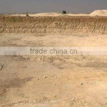 Diatomaceous Earth Powder photo-3
