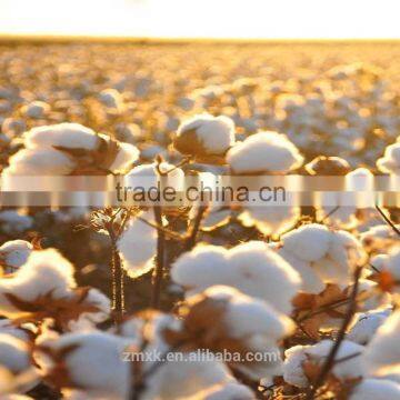 Mepiquat Chloride Low Price 98%TC photo-5