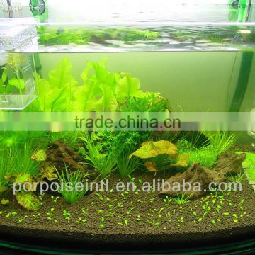 fertilizer for aquatic plant