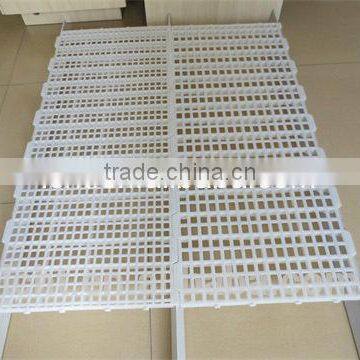 chicken plastic floor
