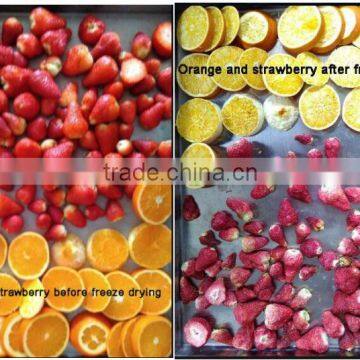 Laboratory Table Top Type Vacuum Freeze Dryer lyophilization coffee machine