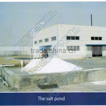 Large capacity whole production line salt refinery plant of China