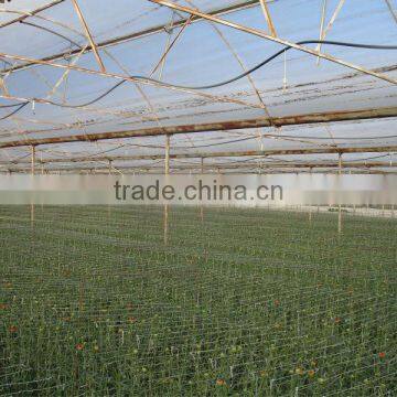 Blowing Molding, Multi-span, Tunnel PE Material, Agricultural Greenhouse Film Manufacturer photo-3