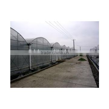 Factory Price Multi-span plastic greenhouse