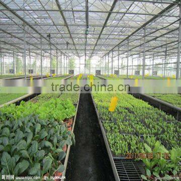 Greenhouse PE vegetable sun plastic shade net