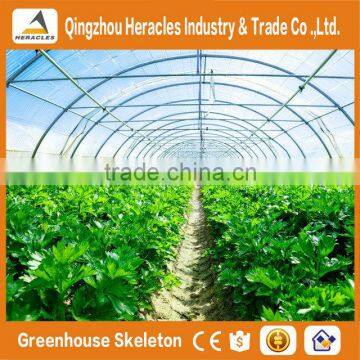 Heracles Trade Saaurance Good Quality Green House Plastic Film for Agricultural photo-5