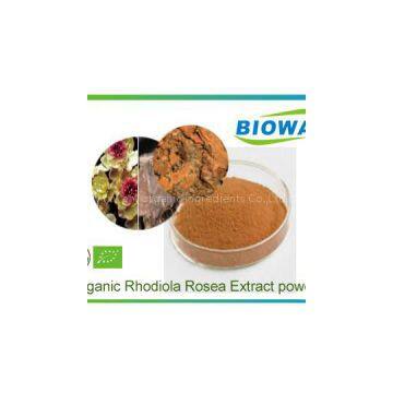 Organic Rhodiola Rosea Extract Powder