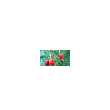 iqf wild rose hip