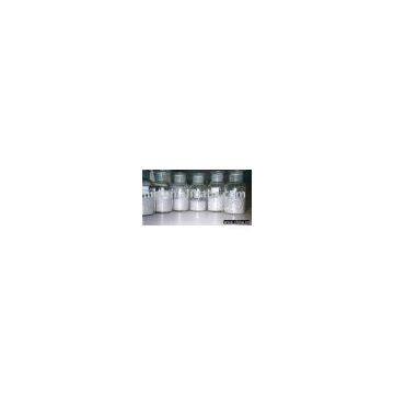 Pure Magnesium Ingot/Magnesium