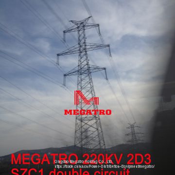 MEGATRO 220KV 2E5 SJC1 double circuit angle and tension transmission tower