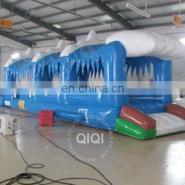 NEWEST & FUNNY Long Form Inflatable Water Game Pools