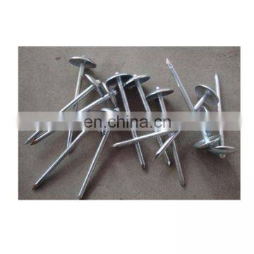 16 gauge screw corrugated roofing nails