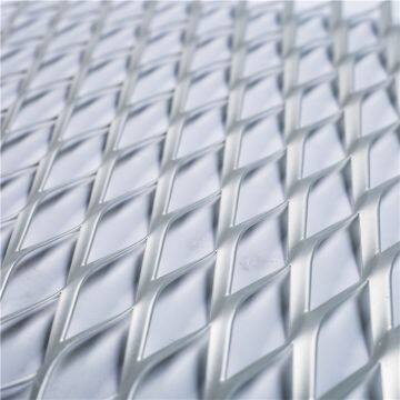China Supplier Expanded Metal Mesh photo-5