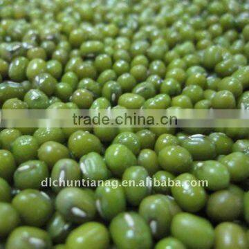 2011 green mung bean (organic )